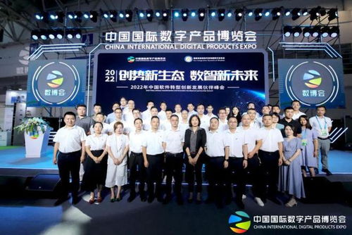 福建省信息技术咨询服务行业协会会长陈维芳向全国人民拜新年